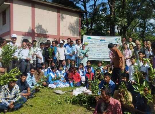 Uttarakhand: Harela festival celebrated with pomp! Saplings were planted in Thal and Didihat, block chief Babita Chufal gave the message of environmental protection.