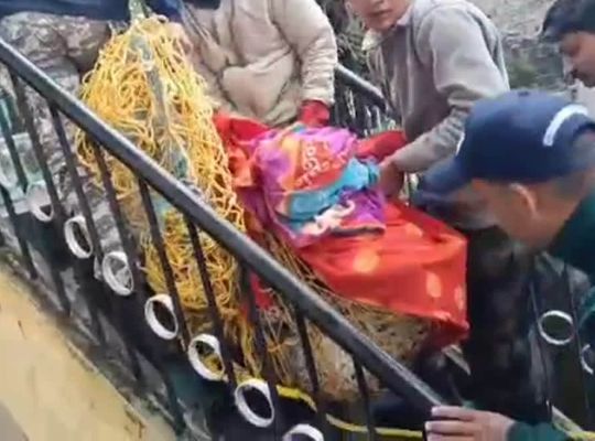 Uttarakhand: Leopard enters home, remains locked in bathroom overnight, rescued by forest department