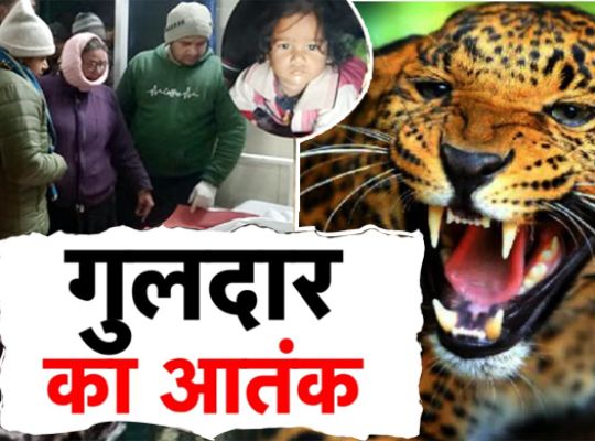 Uttarakhand: A shocking incident! A leopard kills a girl in her courtyard in Pauri Garhwal, spreading panic in the area.