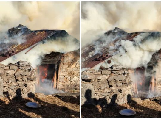 A massive fire broke out in Uttarkashi's Silla village cowshed, devastating six cattle to death, causing panic among villagers.