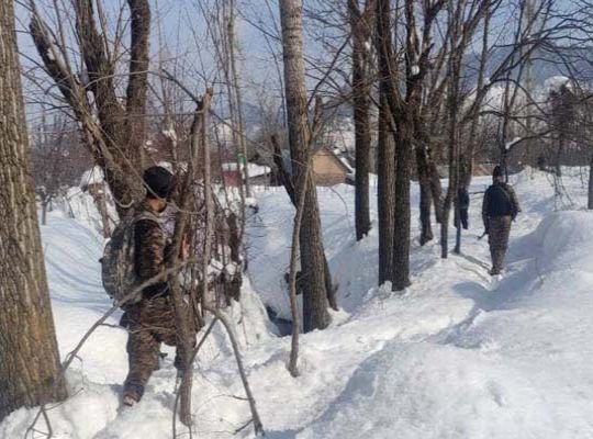 Jammu and Kashmir: Two terrorists killed in Kishtwar encounter, AK-47 rifle recovered