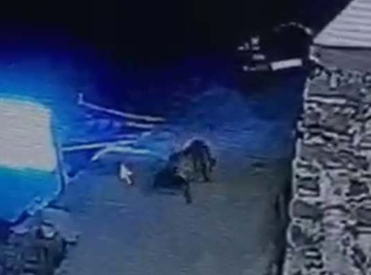 Panic as Leopard 'Enters Hotel': Live Movement Captured on CCTV; People Have a Narrow Escape