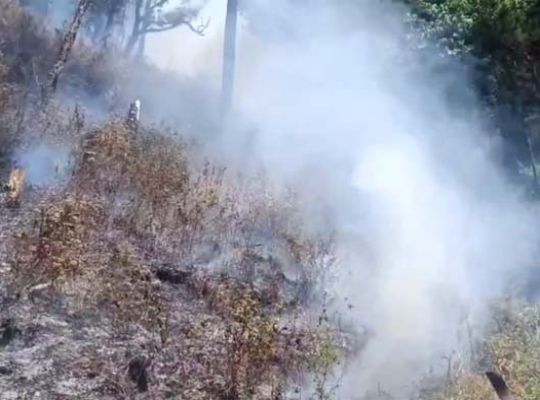 A fire raged in the forests of Nainital. Uncontrollable flames have been raging for 30 hours, increasing the danger! Heat waves and dry winds have worsened the situation.