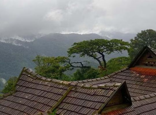 Uttarakhand weather alert: Rain and hailstorms accompanied by strong winds are expected over the next 48 hours! The danger may increase in hilly districts.