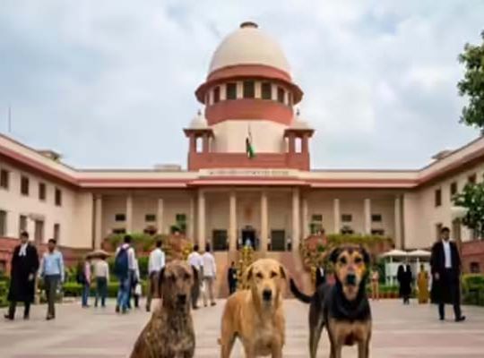 Supreme Court's Unequivocal Stance: Public Spaces Free from the Menace of Stray Dogs Are a Fundamental Right of Citizens; Refuses to Modify Order.