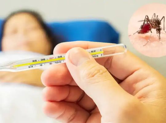 A major action plan for dengue: The Uttarakhand Health Department is on high alert! Hospitals will establish special wards, conduct fogging campaigns, and form rapid response teams for monitoring.