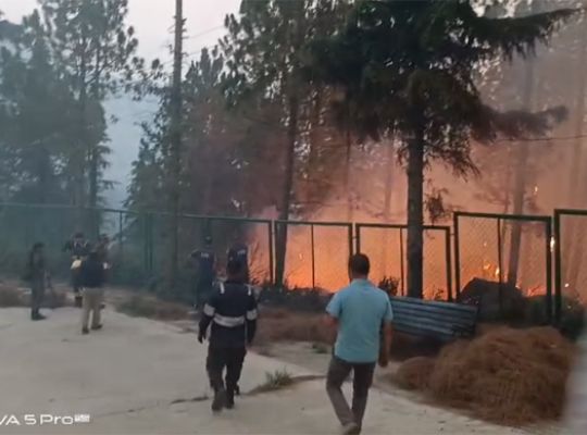 Uttarakhand's forests blaze before the fire season ends: Over 394 forest fires have affected 331 hectares! Several forest divisions have been placed in the highly sensitive category.