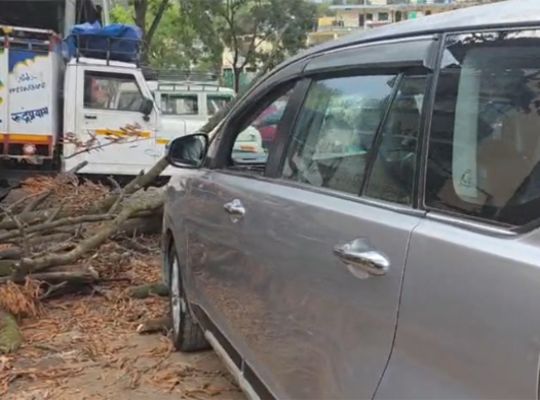 Rudraprayag: A major accident was averted at the bus station! A huge, dry tree fell on the vehicle of the BKTC vice-president; a mere few seconds could have resulted in significant loss of life.