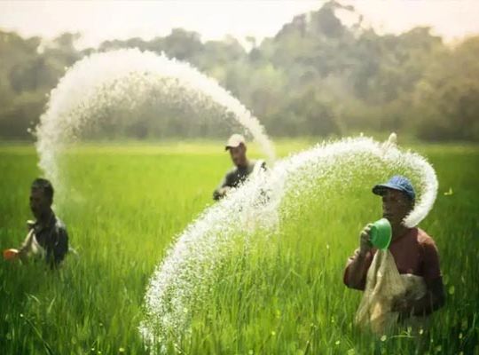 Relief for Jharkhand farmers: Ample stocks of Urea and DAP; no fertilizer shortage expected during the Kharif season.