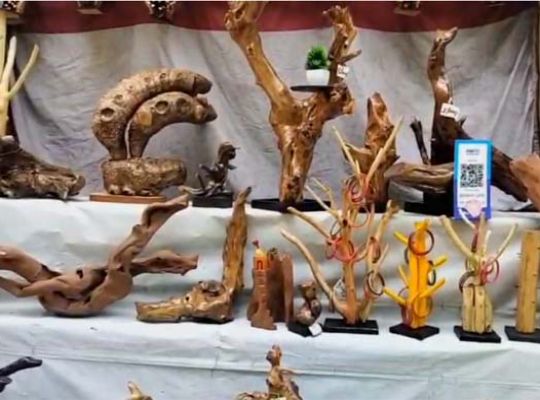 Rising popularity of Kainchi Dham transforms the fortunes of Nainital artisans: Demand for natural wood handicrafts surges among domestic and international tourists.