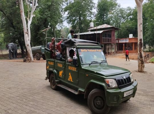 The &lsquo;open safari&rsquo; formula proves a massive hit at Betla National Park; record earnings of ₹1.20 crore transform the fortunes of dozens of families.