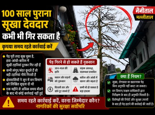 Nainital: Rain threatens trees, two trees fell, and a hundred-year-old cedar tree has dried up, causing panic among residents. No action has been taken even a month after the complaint.