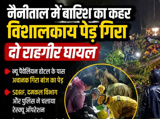 Rain wreaks havoc: A huge tree falls on pedestrians in Nainital, injuring two people; rescued by SDRF
