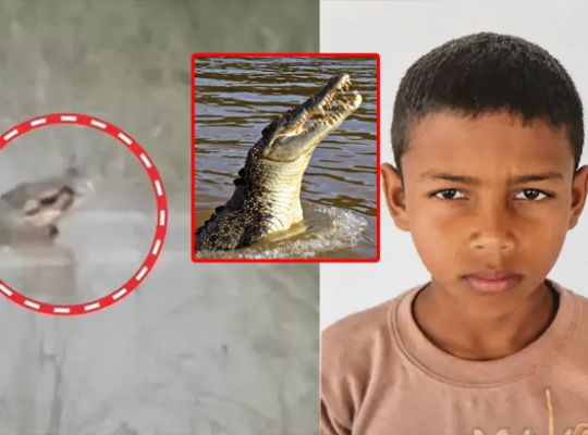 A bone-chilling incident: A crocodile first clamped its jaws around a 12-year-old boy, then dragged him into the river and devoured him; the video has left people horrified.