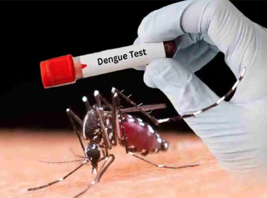 The fight against dengue is set to strengthen! India grants DCGI approval to the QDENGA vaccine for the first time; individuals aged 4 to 60 will be eligible to receive it.
