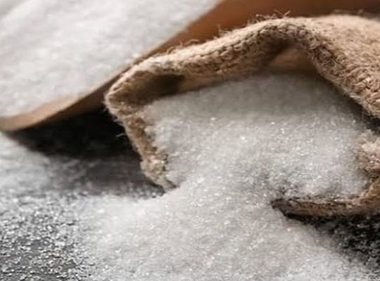 Sugar prices rose due to hoarding and disease, not ethanol: Central government dismisses claims; stock limits and duty-free imports implemented for the festive season.