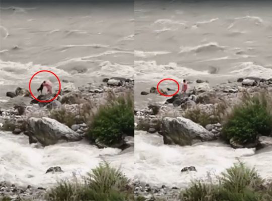 Uttarakhand: Video shaming humanity goes viral! Dog thrown into raging river and pelted with stones.