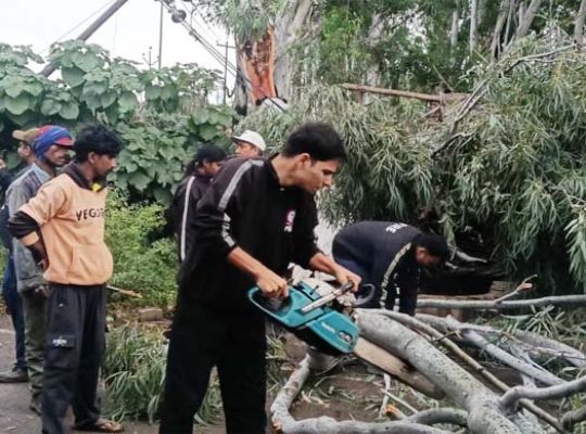 Uttarakhand: A massive storm and rain wreaked havoc in Jashodharpur, Kotdwar! A huge tree fell on two people standing at a tea stall, resulting in one death.